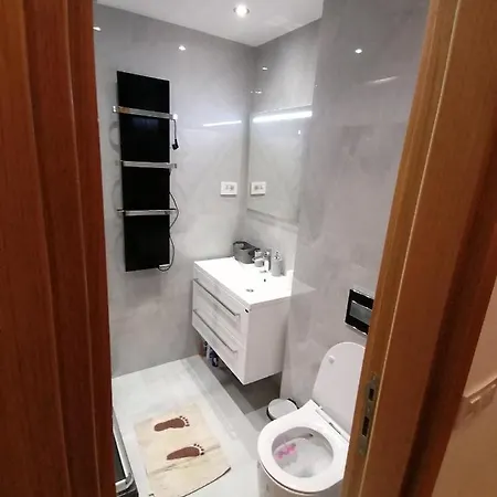 Stefani Lux-pino Silvestre-centar