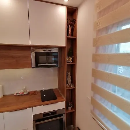 Stefani Lux-pino Silvestre-centar Zlatibor