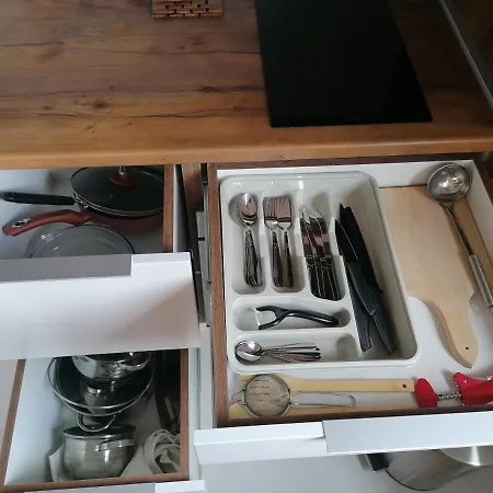 Stefani Lux-pino Silvestre-centar Zlatibor