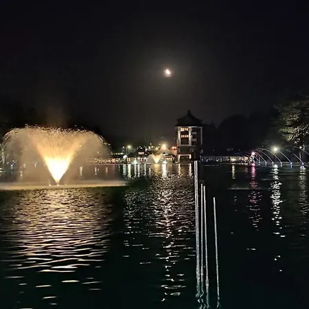 Stefani Lux-pino Silvestre-centar *