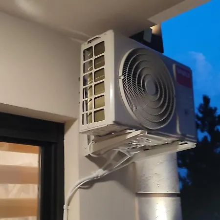 Stefani Lux-pino Silvestre-centar