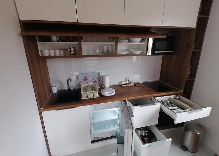 Stefani Lux-pino Silvestre-centar * Ζλάτιμπορ