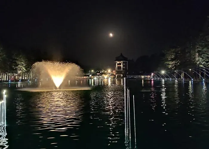 Stefani Lux-pino Silvestre-centar *